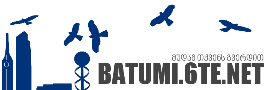 Batumi Forum
